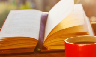 井字梁是什么梁如何区分是井字梁 井字梁的定义