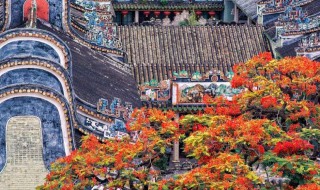 花城在哪个城市 花城市在哪个省