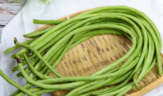 豆角怎么保存时间长新鲜 豆角怎么保存时间长新鲜不长斑