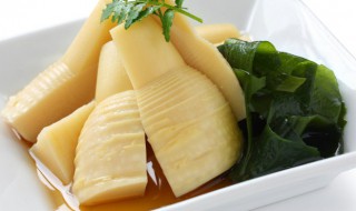 鲜春笋怎么保存时间长(新鲜春笋能保存多久)