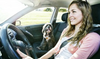 驾驶证可以提前年审吗（驾驶证可以提前年审吗?要不要钱?）