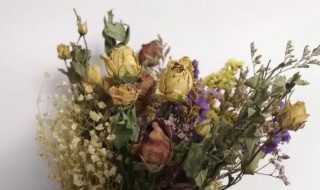 鲜花瓣如何制作成干花（怎样把鲜花制作成干花瓣）