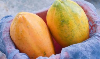 木瓜可以放多久（木瓜可以放多久?）