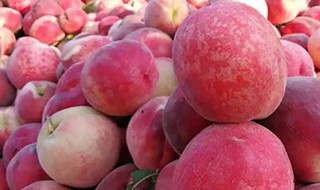 新鲜桃子怎样保存时间长 桃子如何保鲜时间长