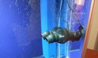 底过滤鱼缸过滤水泵一直开着吗 底过滤鱼缸过滤水泵一直开着吗会坏吗