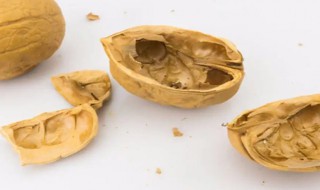 吃完的核桃壳可以做什么 核桃壳可以做啥