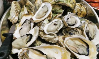 蒸海蛎子多长时间窍门 蒸海蛎子的最佳时间是多少分钟