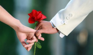 玫瑰花如何栽培 玫瑰花栽培和种植方法?