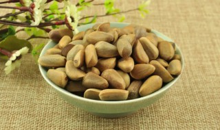 生松子可以储存多长时间（生松子保质期多久）