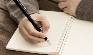 好听文艺的团队名字有哪些（文艺的团队名字大全）