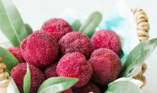 怎么才能让新鲜的杨梅长时间保存（新鲜杨梅怎么保存能放时间长一点）