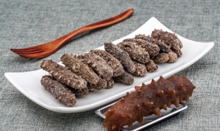 牛奶炖海参多长时间最好（海参一般炖多久最好）