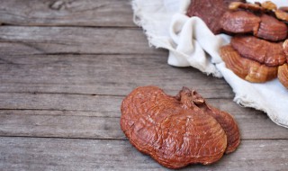 如何辨别灵芝的好坏 怎样辨别灵芝的好坏