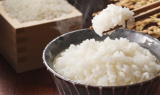 白米饭放冰箱可以放多久(白米饭放冰箱保鲜可以放多久)