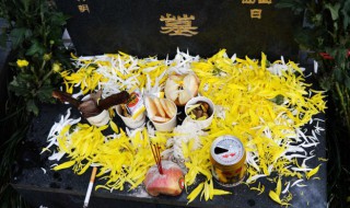 清明扫墓带什么祭品（清明扫墓带什么东西祭拜）