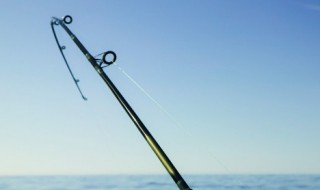 怎么选鱼竿才是好竿 什么样鱼竿才是好鱼竿