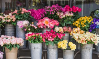 清明扫墓可以去两次吗 清明扫完墓可以去两次吗?