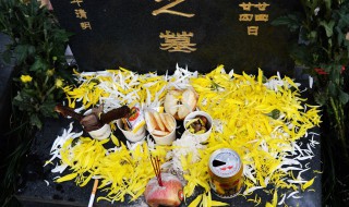 清明节可以放假回家吗 端午节放假可以回家吗