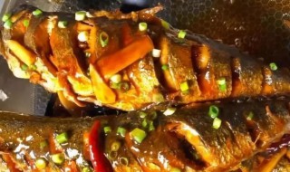 茄汁烧鲅鱼最正宗的做法 番茄烧鲅鱼的做法