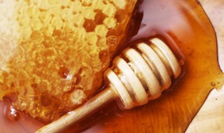 怎么分别好蜂蜜和坏蜂蜜 怎样辨别蜂蜜的好与坏