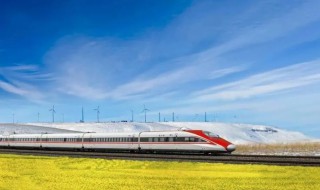 施华蔻染发霜能带上高铁吗（施华蔻染发剂坐火车能带吗）