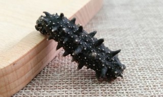 海参怎么煮好吃 海参怎么煮好吃?