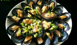 海虹怎么煮好吃（煮海虹的做法窍门）