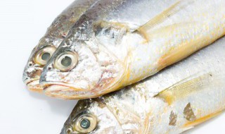 黑鱼可以冷冻保存吗 黑鱼能速冻吗