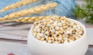 薏米怎么煮好吃（红豆薏米怎么煮好吃）