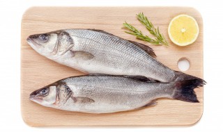 家常炖鲈鱼怎么做（炖鲈鱼的做法 最正宗的做法）