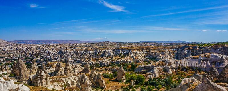 时间的脚印主要内容概括