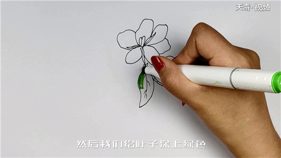 栀子花简笔画