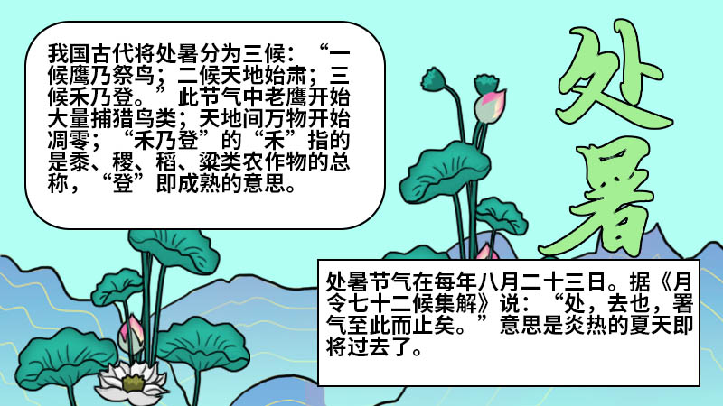 处暑手抄报怎么画