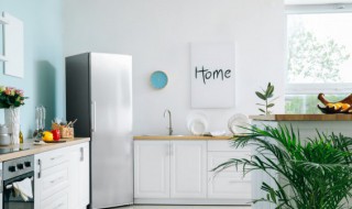 厨房窗台上有蚂蚁用什么能避免 厨房怎么防止蚂蚁