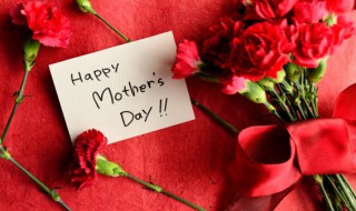 如何让无根水养康乃馨快速开花 康乃馨怎么水养开花