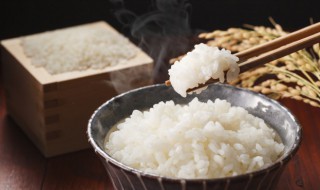 宿舍电煮锅怎么蒸米饭（宿舍电煮锅怎么蒸米饭断电）