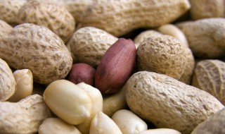 煮花生夏天怎么保存(水煮花生夏天怎么保存)