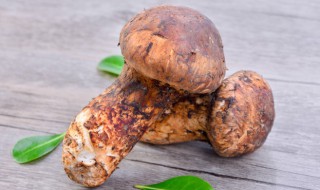 松茸怎么煮 松茸怎么煮才好吃