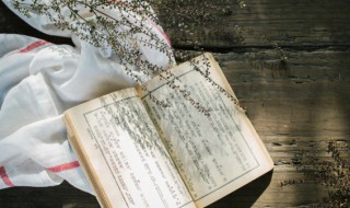 钢怎么组词 钢怎么组词组