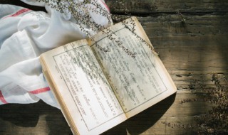 肢怎么组词 肢怎么组词语和拼音怎么写