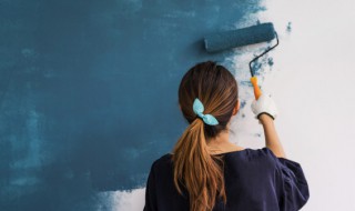 墙体大面积发霉怎么办（墙体大面积发霉怎么样彻底解决）