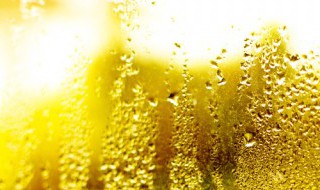 室内潮湿发霉怎么办(室内潮湿发霉怎么办地面全是水)