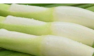 茭白可以冷冻保存吗(茭白放冷冻箱了还能吃吗)