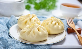 自己做的包子放冷冻可以保存多久（自己做的包子放冷冻可以保存多久啊）