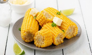 煮熟的玉米怎么发酵（玉米怎样发酵）