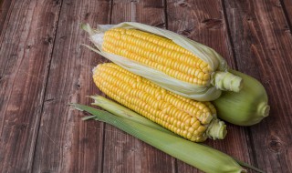 怎么用电压力锅煮玉米（如何用电压力锅煮玉米）
