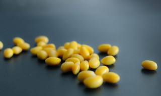 黄豆叶子发黄怎么治 豆子叶子发黄是怎么治