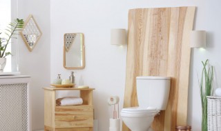 卫生间发霉怎么处理 卫生间角落发霉怎么清理