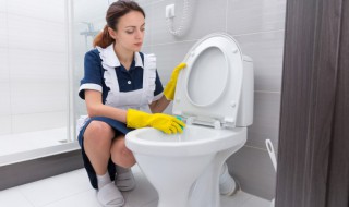 马桶发霉怎么办小窍门 马桶发霉怎么处理