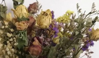 花发霉了怎么办（花发霉了怎么处理）